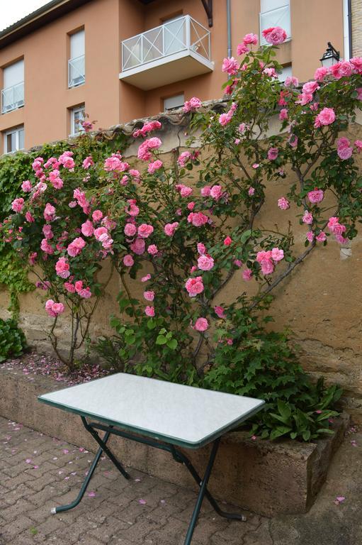 Cote Midi Chambre D'Hote Chaneins Екстериор снимка
